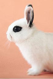 《暗黑破坏神2：重制版》发售数周后仍有服务器问题